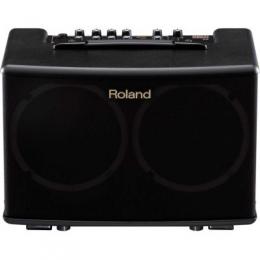 Изображение продукта ROLAND AC-40 гитарный усилитель