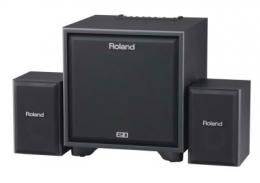 Изображение продукта ROLAND CUBE-MONITOR-220 инструментальный усилитель