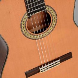 Изображение продукта SIGMA CM-6NF гитара
