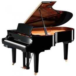 Изображение продукта YAMAHA DC5XE3 PE дисклавир