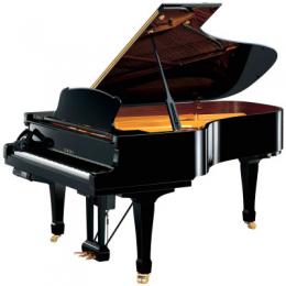 Изображение продукта YAMAHA DS6E3PRO PE дисклавир-сайлент