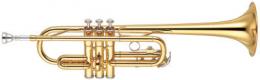 Изображение продукта YAMAHA YTR-2435 труба