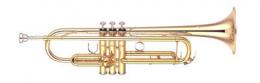 Изображение продукта YAMAHA YTR-4335G труба