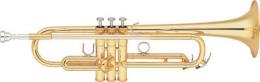 Изображение продукта YAMAHA YTR-6310Z труба