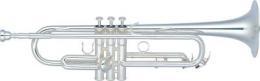 Изображение продукта YAMAHA YTR-6310ZS труба