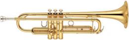 Изображение продукта YAMAHA YTR-6345G труба
